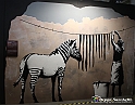 VBS_2309 - Mostra The World of Banksy - The Immersive Experience